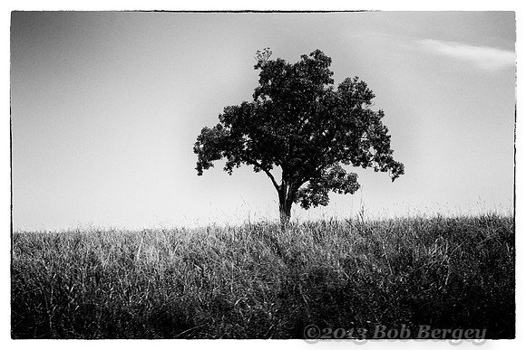 Storm King Art Center