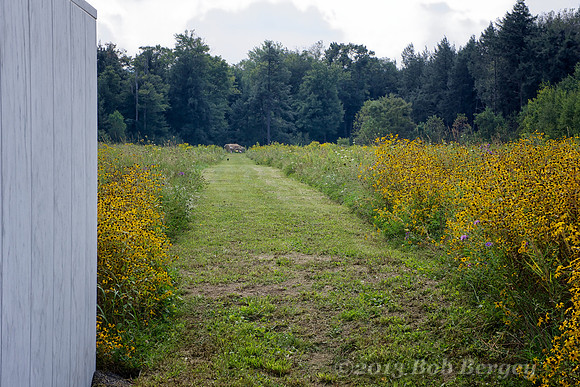 The Flight 93 National Memorial