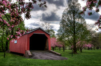 Spring Storm