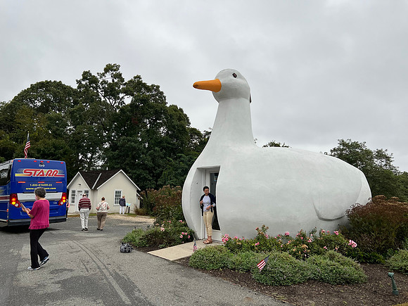 The Duck in Flanders, NY