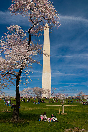 Washington Monument
