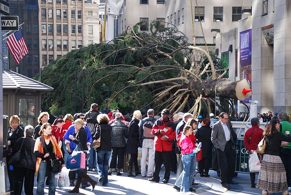 The Christmas Tree