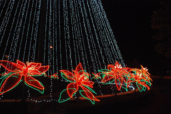 Pretty lights around the tree