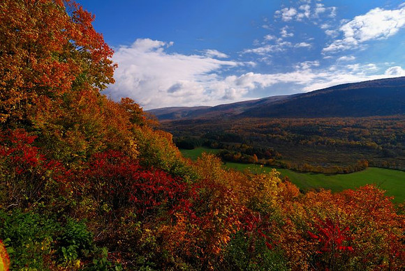 Fall in Vermont