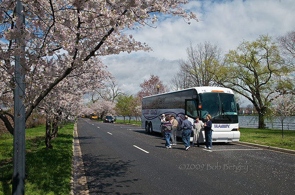 Photo Stop on Hains Point