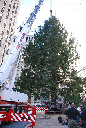 The Christmas Tree