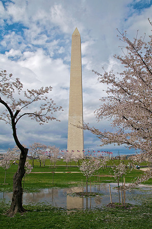 Washington Monument